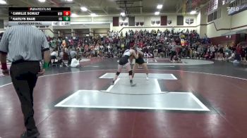 125 lbs Quarterfinal - Camille Schult, Waverly-Shell Rock vs Kaitlyn Raue, Iowa City Liberty