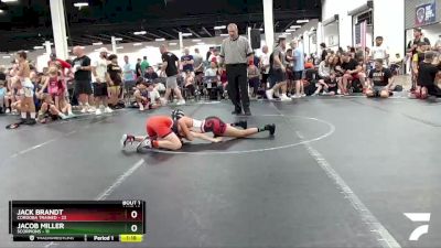 80 lbs Round 1 (4 Team) - Jacob Miller, Scorpions vs Jack Brandt, Cordoba Trained