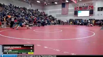 182 lbs Quarterfinal - Tate Link, Dassel-Cokato-Litchfield vs Vander Mathiowetz, Red Rock Central