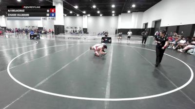 138 lbs AJ DeLaCruz, South Carolina vs Chase Ullmann, Maryland