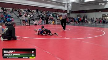 47-48 lbs Quarterfinal - Ellis Prince, Whiteland WC vs Amadeus Manning, Fighting Irish WC