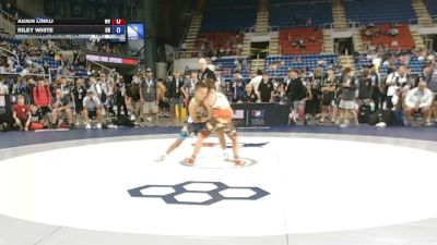 113 lbs Champ. Rd Of 128 - Aiden Linko, West Virginia vs Riley White, Ohio