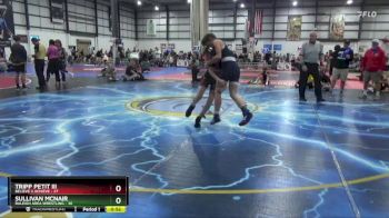 100 lbs Cons. Semi - Sullivan McNair, Raleigh Area Wrestling vs Tripp Petit III, Believe 2 Achieve