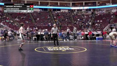 133 lbs First Round - Anthony Mutarelli, Council Rock South vs Luke Hitchcock, Central Dauphin