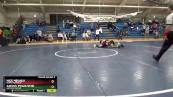 144 lbs Champ. Round 2 - Kaedyn McAllister, Anthony Wayne vs Nick Medalis, North Royalton