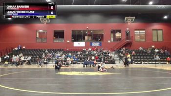 103 lbs 3rd Place Match - Chiara Barbieri, Presbyterian vs Lilian Prendergast, Mount Olive