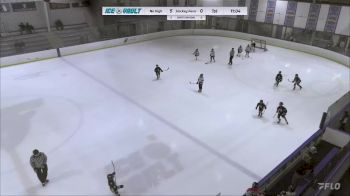 Replay: Home - 2024 Highlands Black vs Hockey Farm SQT | Apr 6 @ 9 AM