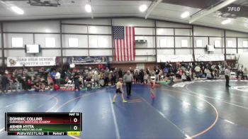 62 lbs Quarterfinal - Dominic Collins, Sanderson Wrestling Academy vs Asher Hyita, Cougars Wrestling Club