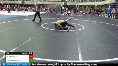 105 lbs Round 2 - Briggs Hammerly, Bonus Points Wrestling Club vs Thomas Vanasek, New Prague