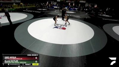 113 lbs Cons. Round 5 - Jake Agolia, Team So Cal Wrestling Club vs Elijah Butler, Northview High School Wrestling