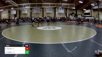 113 lbs Quarterfinal - Aiden Swink, 84 Athletes vs Dario Lopez, OLWC