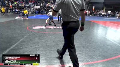 79 lbs Cons. Round 5 - Cam Whitehead, Alber Athletics WC vs Logan Viau, Tinley Park Bulldogs WC