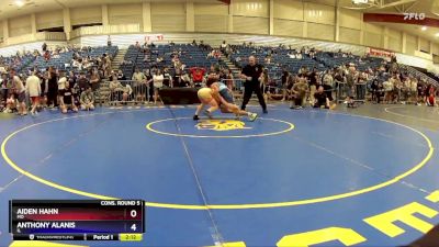 113 lbs Cons. Round 5 - Aiden Hahn, MO vs Anthony Alanis, IL