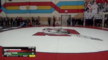 132 lbs 3rd Place Match - Noah Bridgewater, Erie vs Lincoln Young, Rock Springs