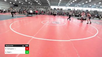 160 lbs Round Of 64 - Ryan Gallagher, PA vs Andrew Reall, RI