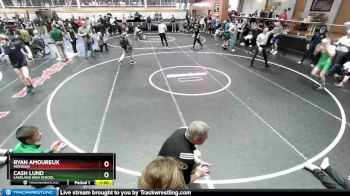 138 lbs Cons. Round 3 - Cash Lund, Lakeland High School vs Ryan Amoureux, Meridian