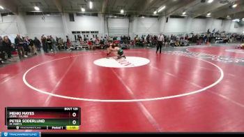 144 lbs Champ. Round 1 - Mehki Mayes, Lewis - Palmer vs Peter Soderlund, St. Mary`s