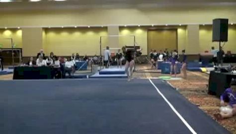 Gold Cup (Tory Wilson)