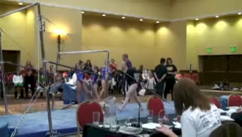 Gold Cup (Tory Wilson) tkatchev + gienger!