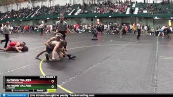 125 lbs Cons. Round 3 - Anthony Walker, Central Michigan vs Anthony Sagaris, Lake Erie