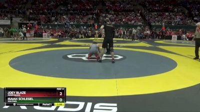 D1-165 lbs Semifinal - Isaiah Schlegel, Whitmer vs Joey Blaze, Perrysburg