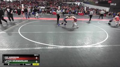 90 lbs Champ. Round 1 - Layton Gruenenfelder, RT Elite vs Coy Anderson, Luxemburg-Casco