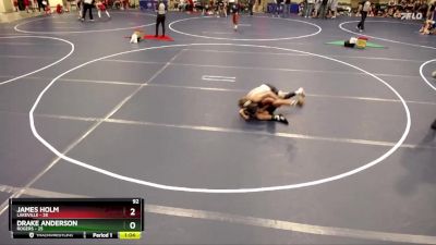 92 lbs Round 1 (4 Team) - James Holm, Lakeville vs Drake Anderson, Rogers