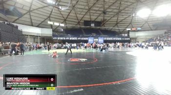 53 lbs 1st Place Match - Luke Vizgaudis, Twin City Wrestling Club vs Brayson Higdon, South West Washington Wrestling Club