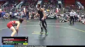 119 lbs Finals (8 Team) - Tayden Plave, South Lyon Matcats vs Logan Dawson, Lowell Red