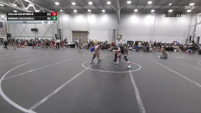 132 lbs Round 2 (4 Team) - Collin Dalrymple, Botetourt TC vs Roman Caccavelli, New England Gold