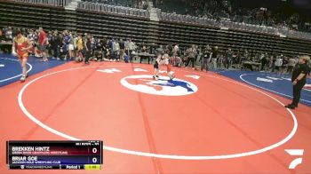 53 lbs Champ. Round 1 - Brekken Hintz, Green River Grapplers Wrestling vs Briar Goe, Jackson Hole Wrestling Club