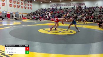 175 lbs Champ. Round 3 - Ryan Welka, Fort LeBoeuf vs Gabe Morgan, Lisbon Beaver