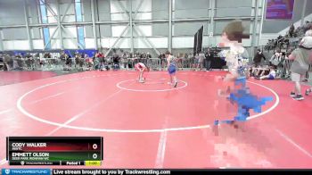 96 lbs Cons. Round 2 - Cody Walker, INWTC vs Emmett Olson, Deer Park Ironman WC