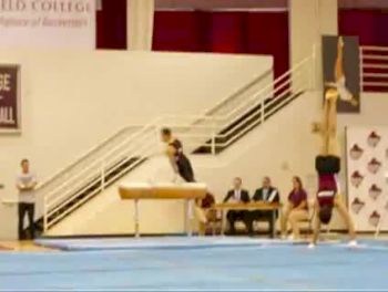 Springfield, Josh Fox (Complete)