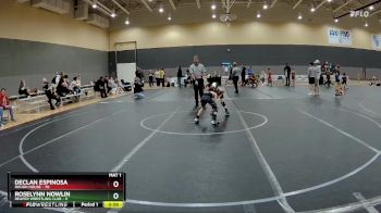 48 lbs Cons. Semi - Roselynn Nowlin, Reaper Wrestling Club vs Declan Espinosa, Rough House