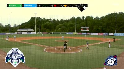 Replay: Wilmington Vs. Lexington County | CPL Petitt Cup Championship Game 3