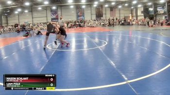96 lbs Rd# 3 12:00pm Friday - Liam Polk, Westshore D.S. vs Mason Schlaht, Rough House