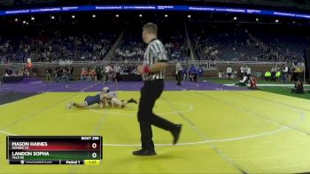 D3-106 lbs Semifinal - Mason Haines, Dundee HS vs Landon Sopha, Yale HS