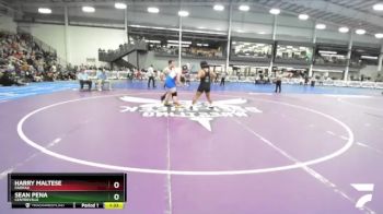 6-215 lbs Quarterfinal - Sean Pena, Centreville vs Harry Maltese, Fairfax