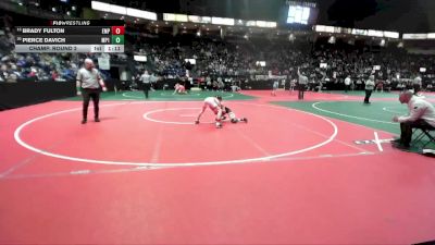74 lbs Champ. Round 2 - Brady Fulton, EMPA vs Pierce Davich, MP1