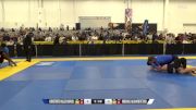 Michael Alan Krevetski vs Kristofer Allen Davis 2024 World IBJJF Jiu-Jitsu No-Gi Championship