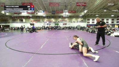 131 lbs Quarterfinal - Kendall Bostelman, William Penn vs Bella Williams, Iowa
