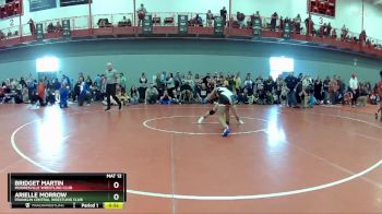 87 lbs Quarterfinal - Bridget Martin, Mooresville Wrestling Club vs Arielle Morrow, Franklin Central Wrestling Club