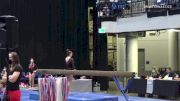 Delaney Kretschmer - Women's Pairs, Perpetual Motion Gymnastics Center - 2021 Women's Xcel Region 4 Championships
