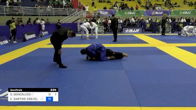 SILVANA GONCALVES vs ELIZABETH SARTORI CREVELARI 2024 Brasileiro Jiu-Jitsu IBJJF