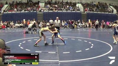 80 lbs Quarterfinal - Christian Piselli, Dog Pound vs Liam Gray, Southern Columbia