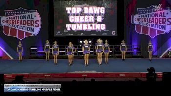 Top Dawg Cheer & Tumbling - Purple Reign [2026 L2 Junior - D2 - Small - C Day 1] 2026 NCA All-Star National Championship