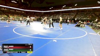 175 Class 2 lbs Quarterfinal - Riley James, Cassville vs Gage Jones, Cameron