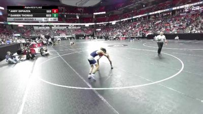 D1-120 lbs Champ. Round 1 - Damien Thomas, Whitnall/Greendale vs Andy DiPiazza, Kaukauna