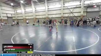 49 lbs Quarterfinal - Jag OBrien, UT vs Atticus Wass, WY